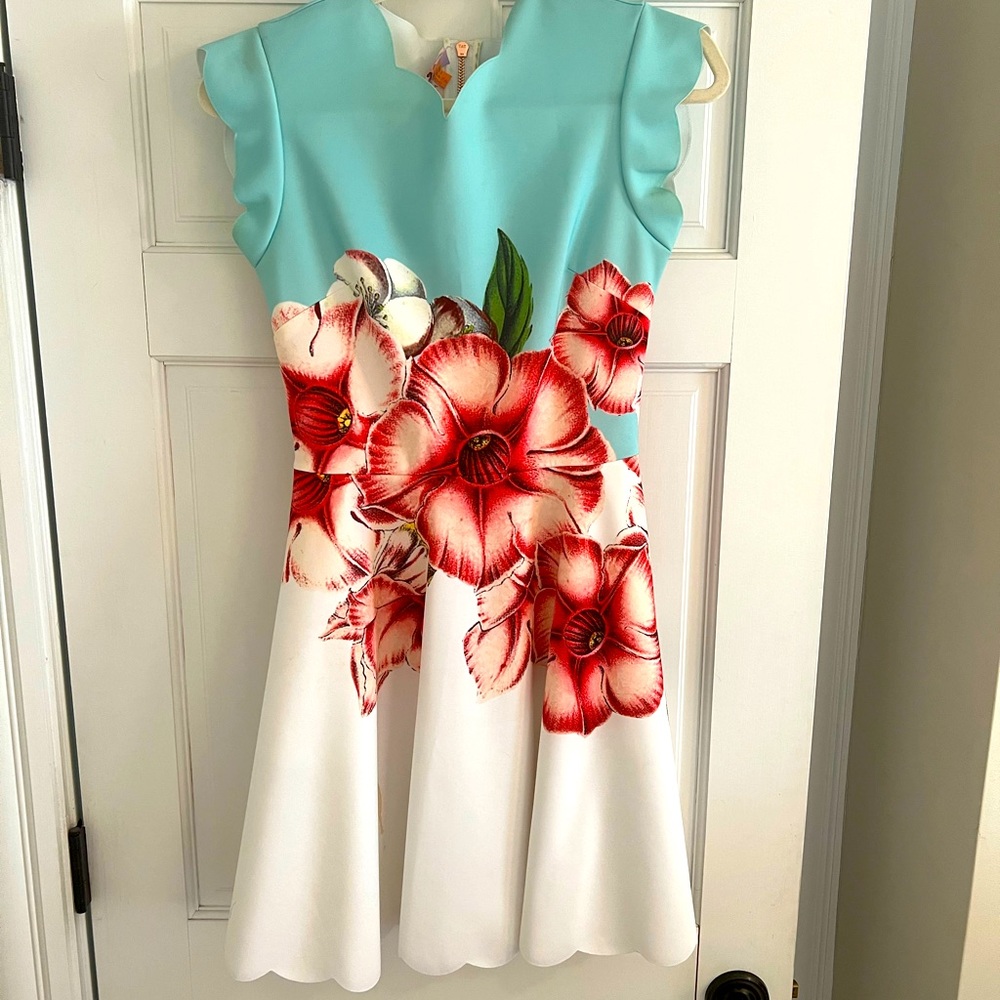 Ted Baker Size 1 floral dress
